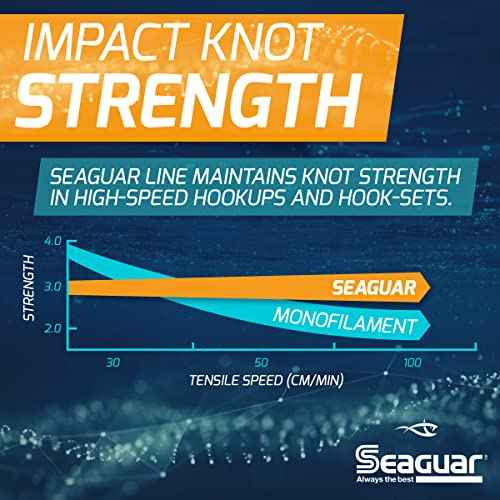 Seaguar Blue Label Fishing Leader Line for Saltwater, 100% Fluorocarbon, Clear, Multiple Sizes