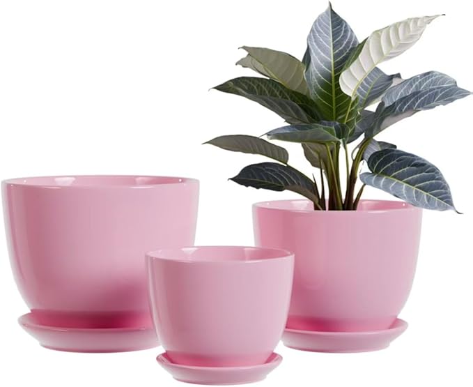 Pink Ceramic Flower Pots,Indoor Decorative Plant Pots Set of 3-4"+5"+6" Inch Small Glazed Succulent Planters with Drainage Hole,Modern Garden Pots with Saucer