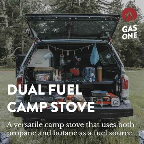 GasOne 15,000 BTU Propane or Butane Stove Dual Fuel Stove Portable Camping Stove - Patented - with Carrying Case Great for Emergency Preparedness Kit