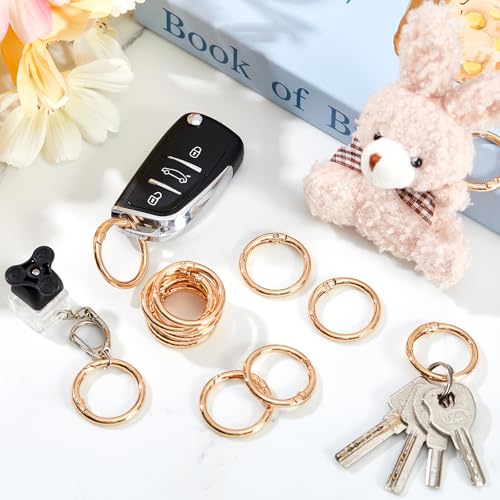 Zonon 20 Pcs 1 Inch Gold Spring O Rings, Key Ring Clip, Round O Clip for Keys, Buckle, Bags, Purses Replacement Purse Ring Hardware, Keychain Lanyard, Home Car Keyrings Attachment DIY Crafts