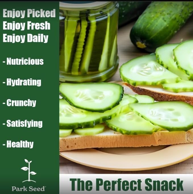 Park Seed Variety of Cucumber Seeds, Planting Cucumbers, Vegetable Seeds, Easy to Grow, Non-GMO, Perfect for Harvesting, Diva, Pack of 250