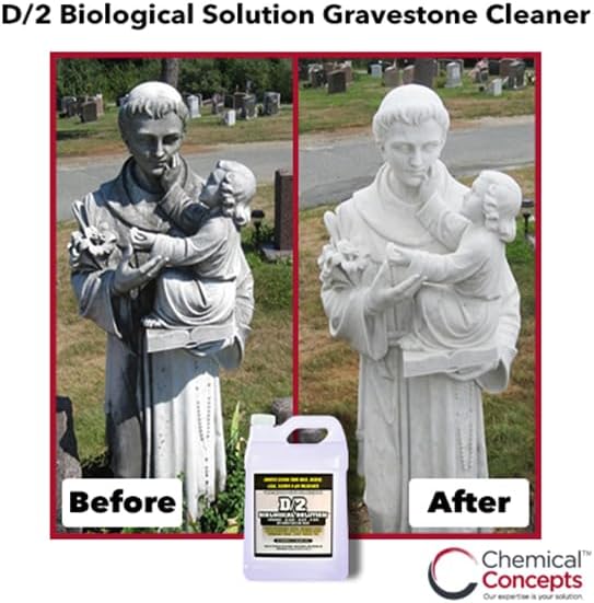 D2 Biological Solution - 1 Gallon - Professional-Grade Cleaner for Mold, Mildew, Algae, Lichen - Non-Bleach, pH Neutral, Biodegradable - Stone, Marble, Concrete, Headstones, Monuments