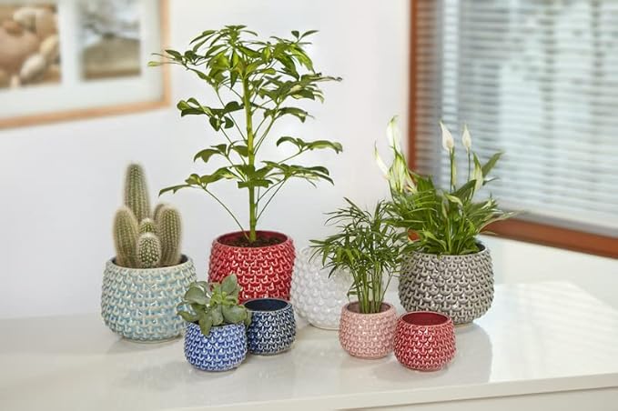 Bloomingville Stoneware Flower Pot Pinecone, Planter, 3,75'', Red
