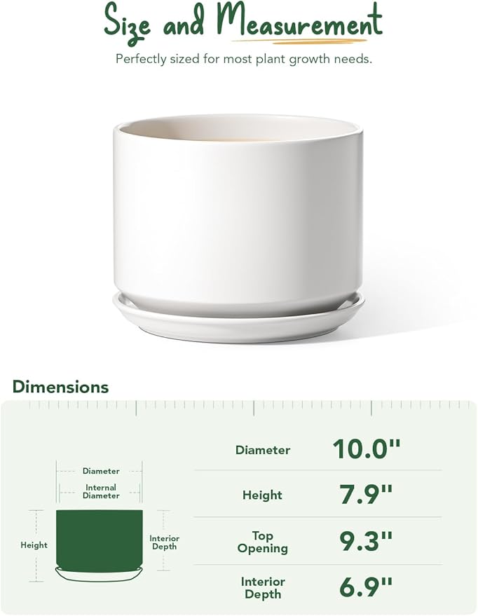 LE TAUCI Ceramic Pots for Plants, 10 Inch Plant Pot with Drainage Hole & Saucer, Sturdy & Modern Planters for Indoor Plants, Includes Mesh Screen, Fits Snake Plant & Monstera, White