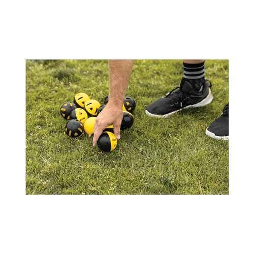 SKLZ Quickster Chipping Golf Net, Black + Balls 12 Pack