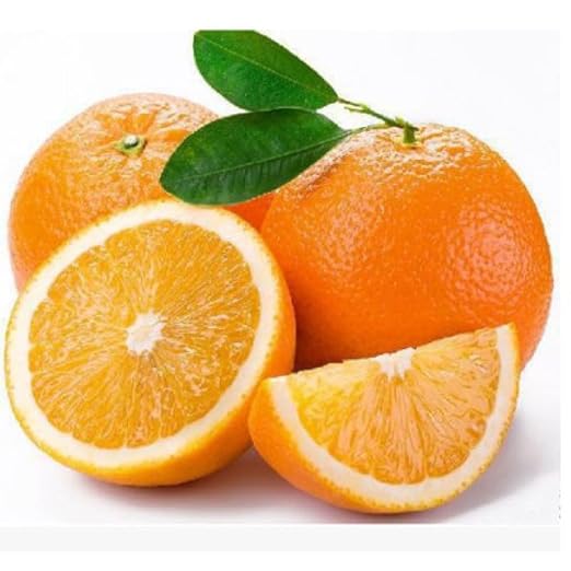 30+ Bonsai Orange Tree Seeds Dwarf Heirloom Bearing Bonsai Tree Fruit Garden