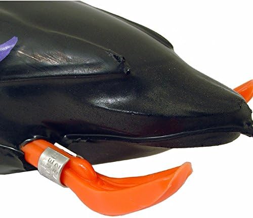 Dead Fowl Black Duck Trainer for Hunting Dogs - Dokken Retrieving Dummy