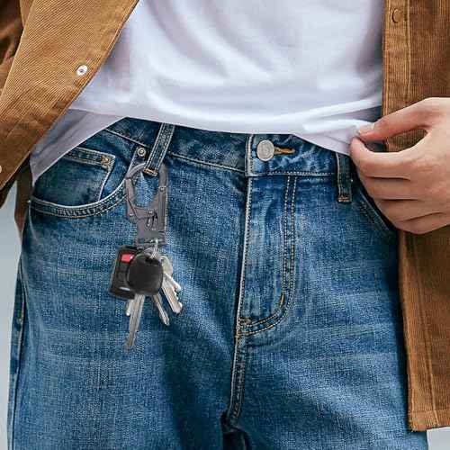 Ahiller Carabiner Clip,1.9'' Alloy Car Keychain Clip with 2 Key Ring,Outdoor Hooks,Small Key Holder for Man and Women