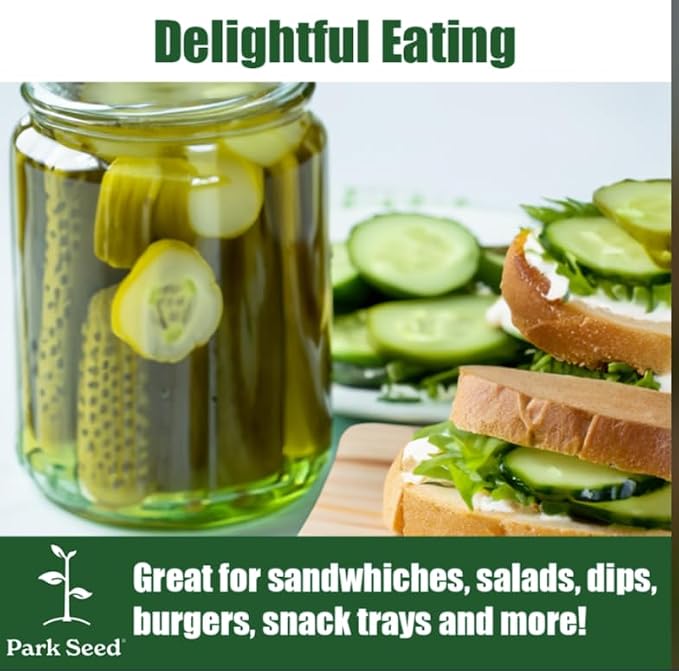 Park Seed Variety of Cucumber Seeds, Planting Cucumbers, Vegetable Seeds, Easy to Grow, Non-GMO, Perfect for Harvesting, Pick-a-Bushel Hybrid, Pack of 30