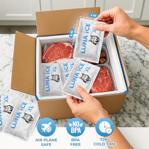 LUNA ICE Dry Ice Packs for Shipping XL - Long lasting ice packs - 24+ Hour Freeze Power - BPA Free - 6 Pack Bulk 3 lb ? Hielo Seco - Reusable Gel Bricks for Food