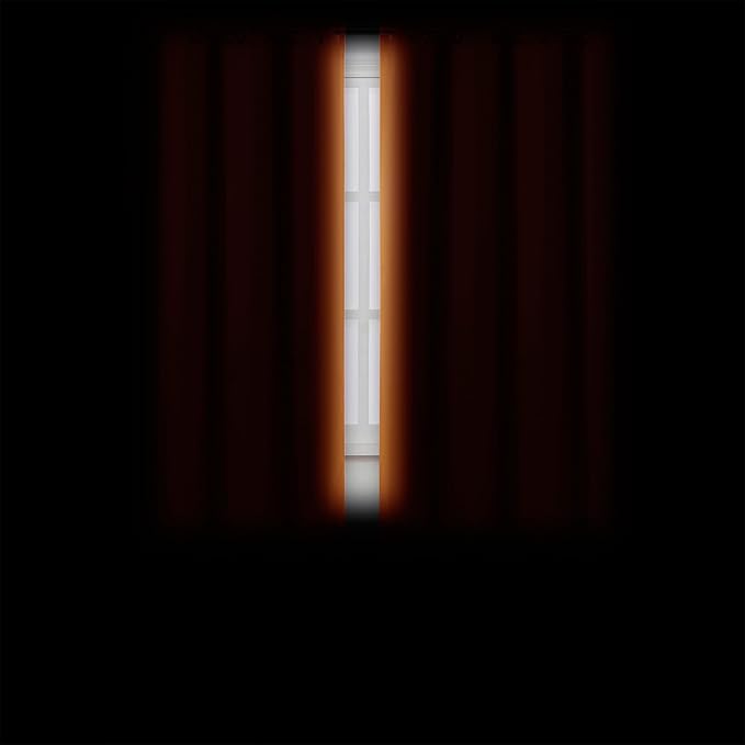 LEMOMO Orange Blackout Curtains/38 x 54 Inch/Set of Two Panels Grommet Living