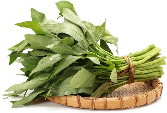 1000 Kangkong Seeds for Planting – Rau Muong Seeds Vietnam Variety – Kong Xin CAI Ong Choy Asian Vegetable for Filipino & Vietnamese Garden Growing