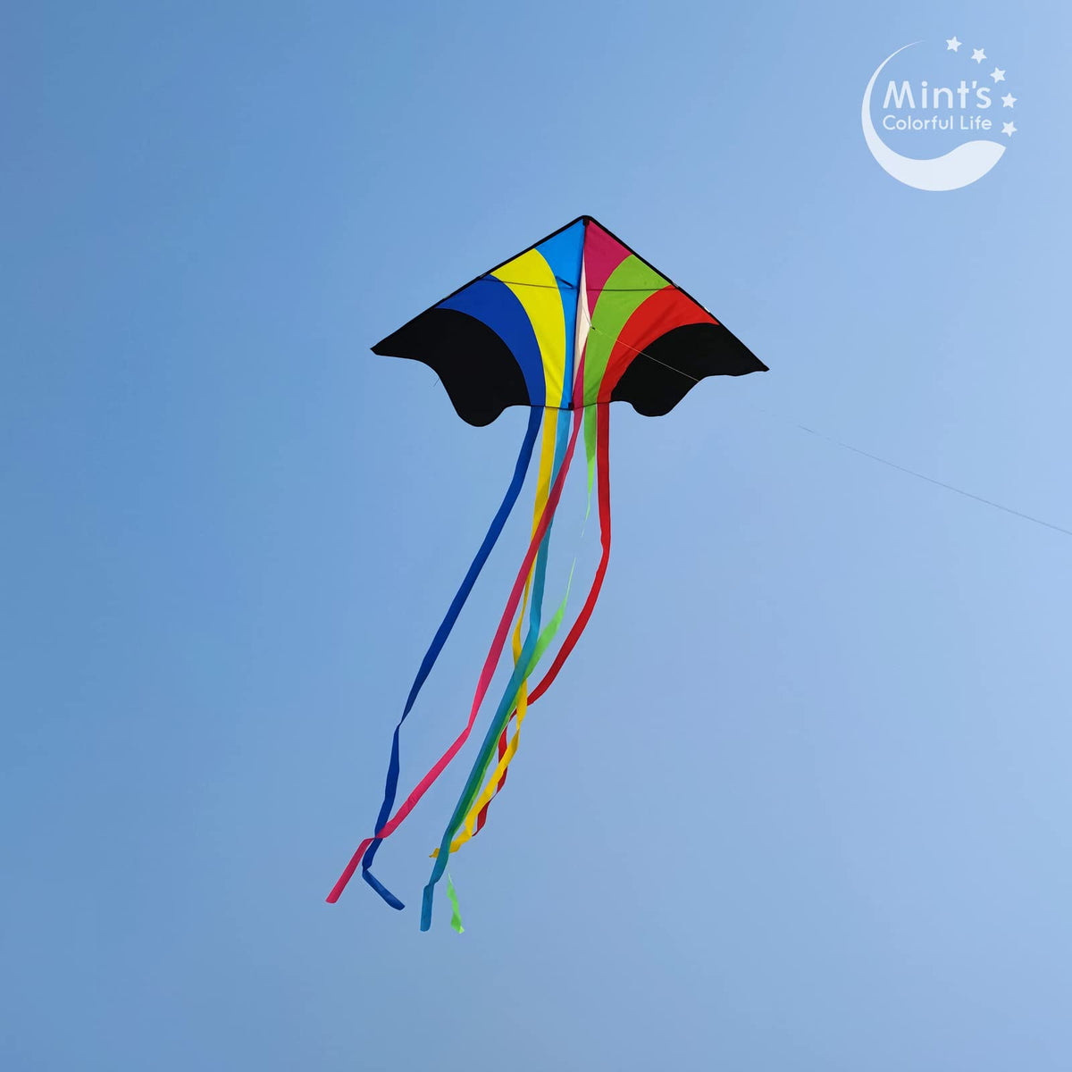 Mint's Colorful Life Rainbow Delta Kite, Polyester; Fiberglass, Large, 5-18 mph Wind Range, Ages 3-80, W/6 Ribbon Tails, Perfect for Travels