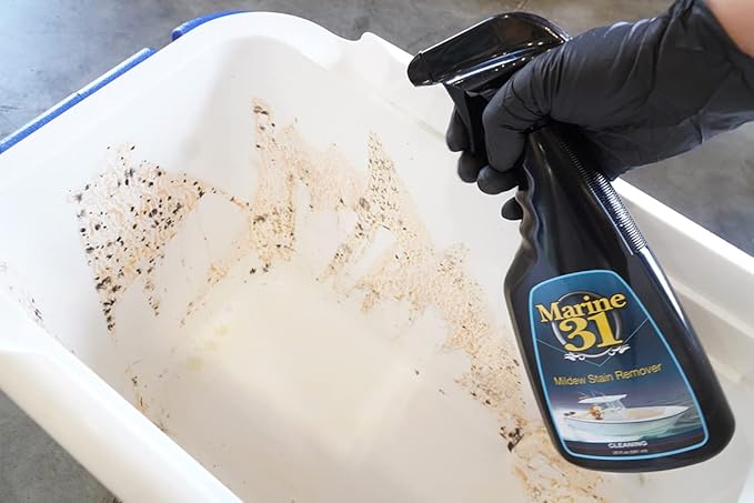 Marine 31 Mildew Stain Remover & Cleaner - Marine & Boat, Home & Patio, Bathroom & Shower Cleaner (Gallon & Towel Kit)