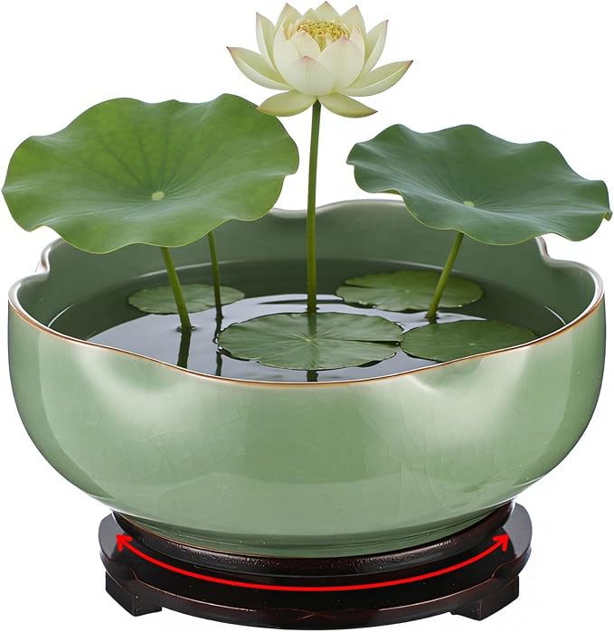 Ceramic Lotus Bowl Planter with Wood Tray, 7.8 in Green Water Lily Planter Pot, Hole Free Hydroponic Bowl, Ice Crack Glaze Flower Bowl for Lotus, Aquatic Plants, Bonsai, Desk Decor