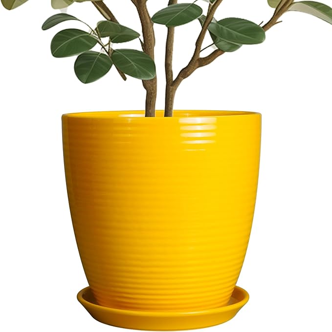 10 Inch Plant Pot - Ceramic Pot for Plants Outdoor Planter for Indoor Plants Large Plant Pot with Drainage Hole and Saucer Round Flower Pot for Home Patio Office Yellow