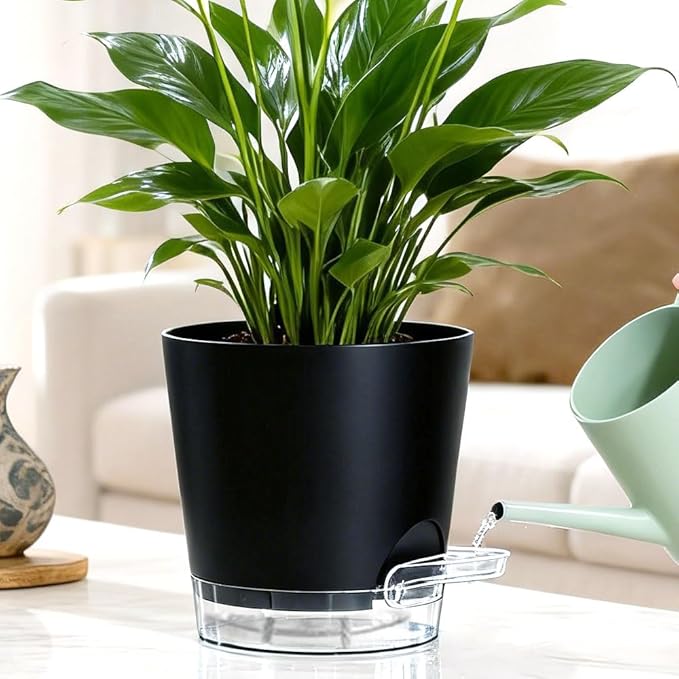 Self Watering Pots for Plants, 2026 New Flower Plant Pots with Drainage Holes, Wicking and Clear Reservoirs for Succulent, Aloe, Cacti and Others - 6 Pack (Black, 4")