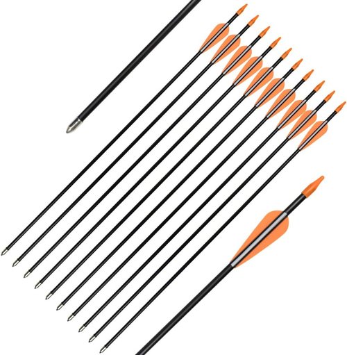 Elong Fiberglass Arrows Archery 24 26 28 30Inch Target Shooting Practice Safetyglass Recurve Bows Suitable for Youth Children Woman Beginner