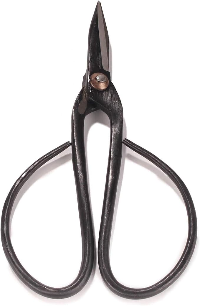 BambooMN Brand - 7.25" Black Bonsai Shear - 10 Shears