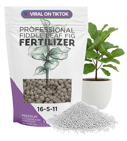 Fiddle Leaf Fig Fertilizer Pellets 16-5-11 Slow Release | Houseplant Fertilizer for Fiddle Leaf Fig, Fig Tree & Indoor Plants | Plant Food for Seedlings & Mature Plants | 5.2 oz