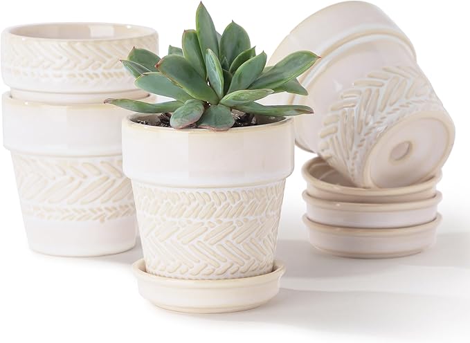 Fayoula Succulent pots,Indoor Small Succulent Bonsai,3 Inch Mini Ceramic Succulent Pots with Saucer and Drainage Hole, Decorative Planter for Succulent, Cactus, Set of 4.