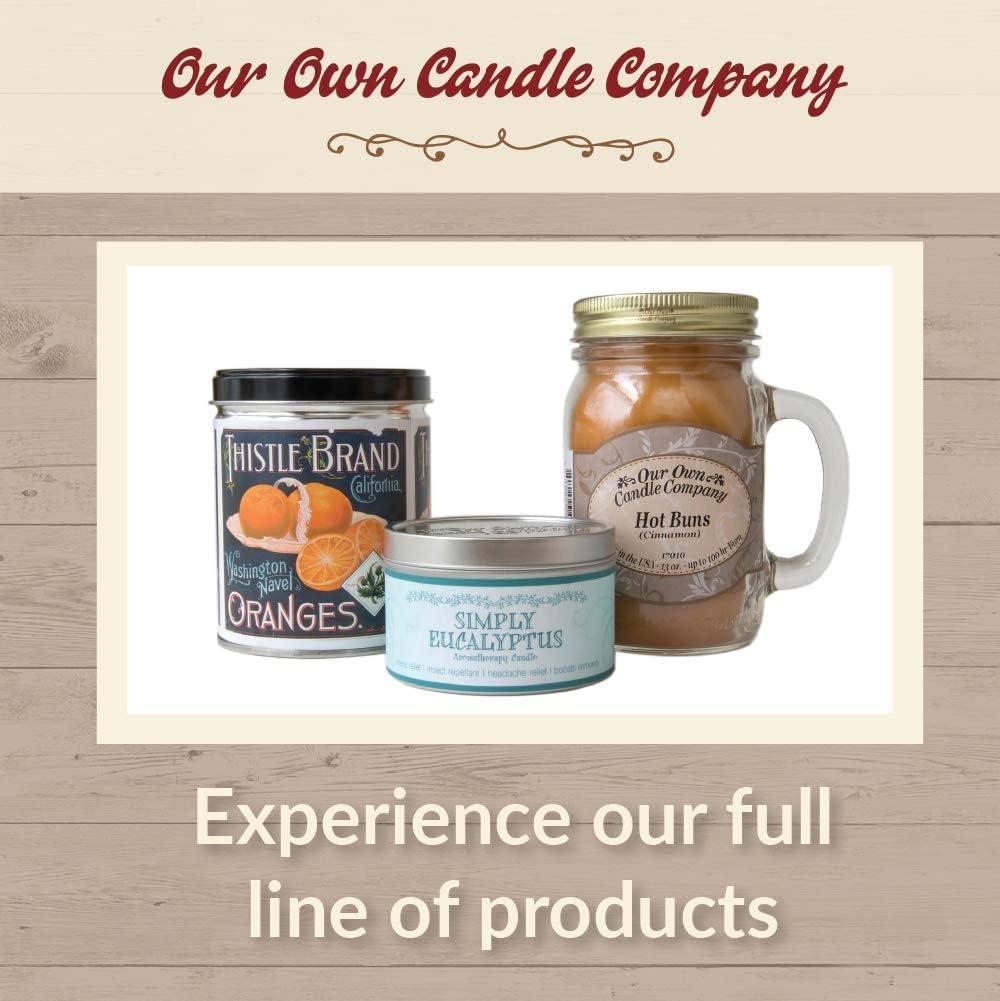 Our Own Candle Company Premium Wax Melt, The Beach, Coconut Lime, Himalayan Sea Salt, and Raspberry Lemonade, Summer Variety Pack, 6 Cubes, 2.4 oz (4 Pack)