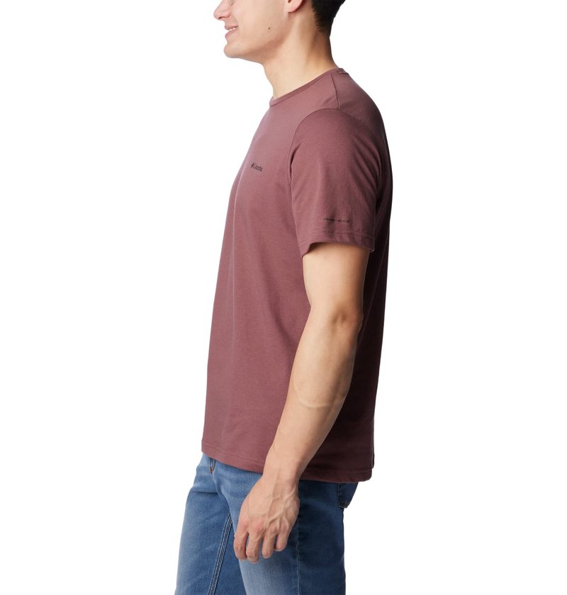 Columbia Men's Thistletown Hills Short Sleeve, Light Raisin, 1X Big