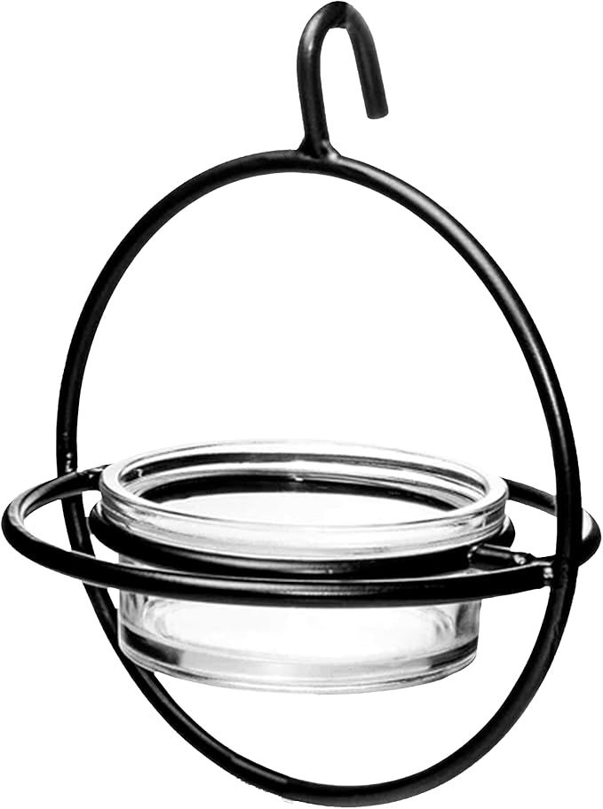 Monarch Abode Hanging Bird Feeder for Outdoors – Hanging Zazu Birdfeeder with Clear Glass Bowl & Metal Perch for Small Birds, Matte Black Decorative Wild Bird Feeder for Outside Garden Patio Deck Yard