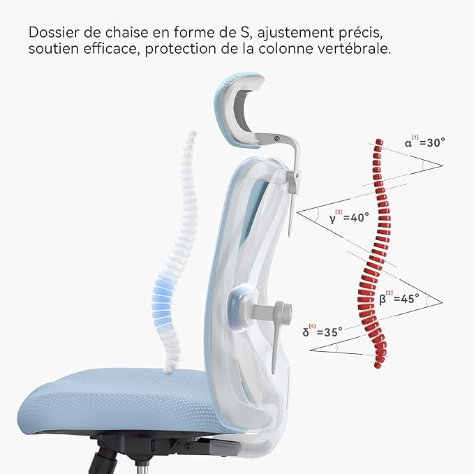 SIHOO M18 Ergonomic Office Chair, Computer Desk Chair with Adjustable Headrest and Lumbar Support, High Back Executive Swivel Chair for Home Office (Light Blue)