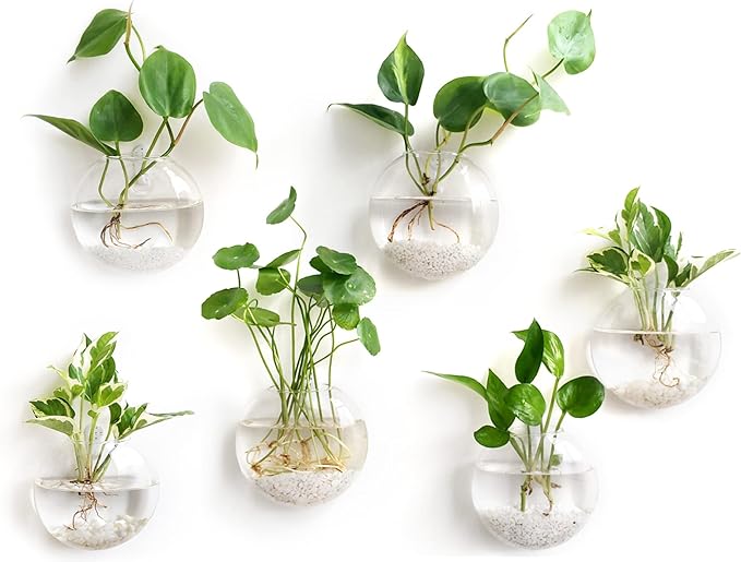 Mkono Wall Hanging Glass Terrariums Planter Oblate Flower Vase
