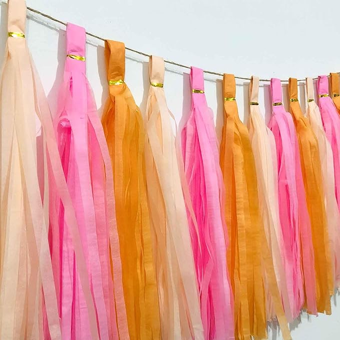 We Moment Pink Orange Peach Tissue Paper Tassels Party Tassel Garland Banner for Birthday Baby Bridal Shower Party Decoration, DIY Kits,15PCS