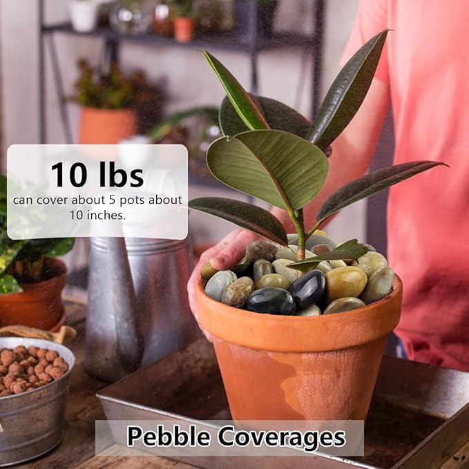 YISZM 2lbs Pebbles for Indoor Plants, 1-2 Inch Mixed Color High Polished River Rocks Outdoor Decorative Stones Vase Filler Fish Tank Aquariums Landscaping Garden Outdoor and Indoor DIY