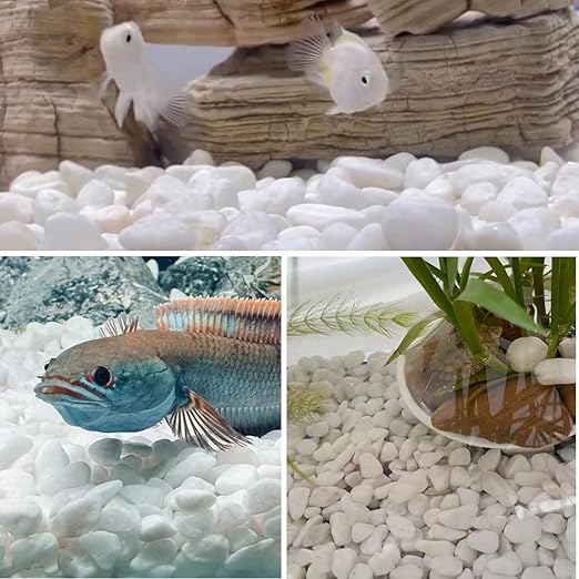 YISZM 10lb White River Rocks, 2-3 Inch Natural Pebbles for Indoor Plants, Snow White Decorative Stones, Ideal for Fish Tank, Vases, Crafting, Home Decor and Garden Landscaping Rocks