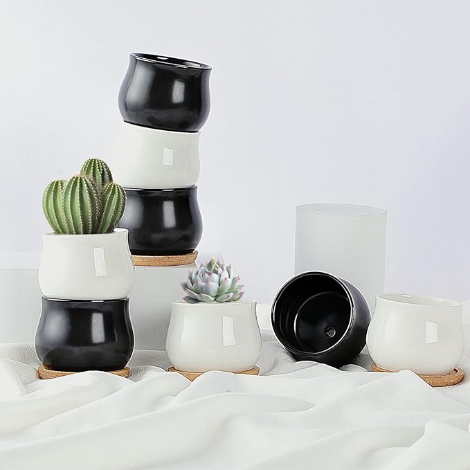 SHECIPIN 2 Pack Succulent Pots, 2.5 Inch Mini Ceramic Pots for Flower or Cactus Plants with Drainage Hole,Plants Not Included (Black)