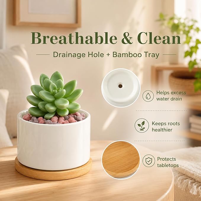 ZOUTOG Succulent Pots 3.15 Inch,4 Pack Succulent Planters,Small Pots for Plants with Drainage and Tray,White Ceramic Flower Planters for Indoor Plants,Home,Office,Desk