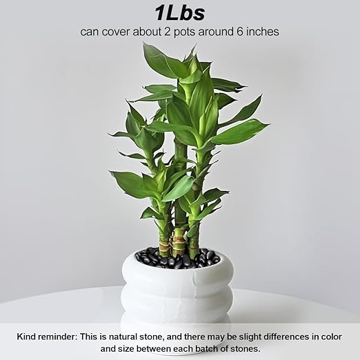 Garden Landscaping Stones,Landscaping Pebbles,River Rocks,Decorative Ornamental Pebbles,Gravel Filler for Home Decoration Flower Bed Fish Tank Plants Vases Succulents (1, Black, 1 Pound)