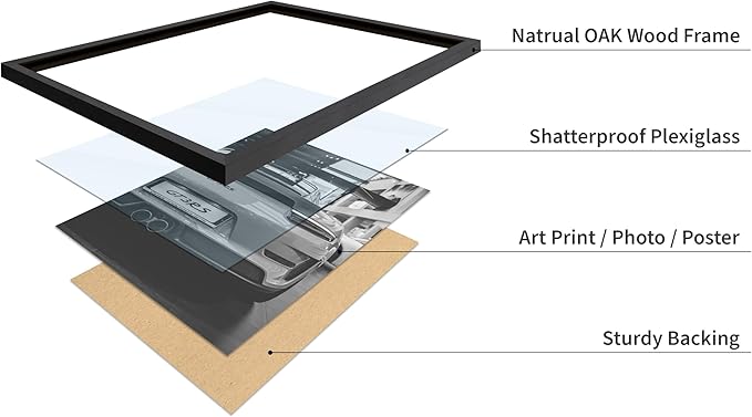 Poster Master Car Poster