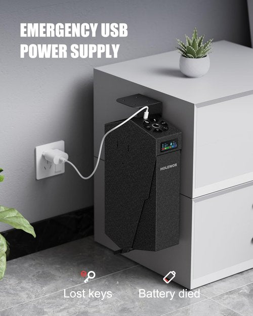 HOLEWOR Slider Gun Safe for Handgun Biometric Drop Down Pistol Safe, Mounted Single Handgun Safe Bedside Gun Safe