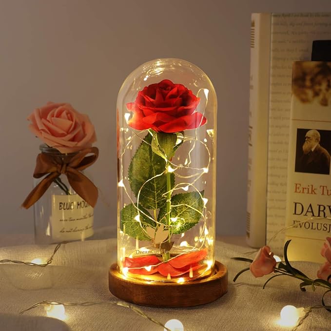 Christmas Beauty and The Beast Rose Gifts for Women, Birthday Gifts for Her, Red Rose Gifts for Mom Wife Grandma, Eternal Rose in Glass Dome with LED Lights, Women's Gift