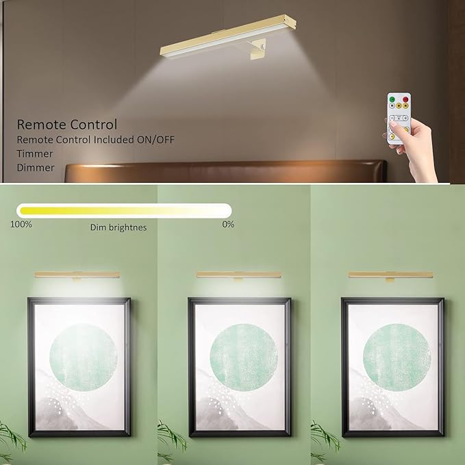 MIOBLUE Rechargeable Picture Lights