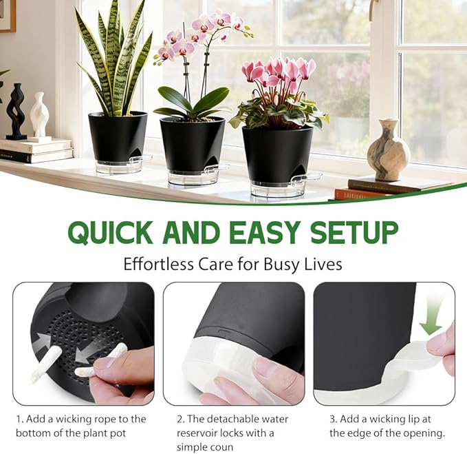 Self Watering Pots for Plants, 2026 New Flower Plant Pots with Drainage Holes, Wicking and Clear Reservoirs for Succulent, Aloe, Cacti and Others - 6 Pack (Black, 4")