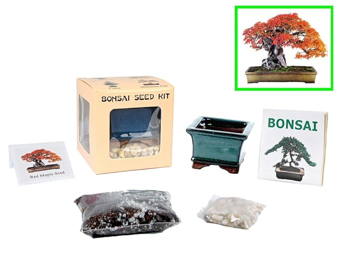 Eve's Red Maple Bonsai Seed Kit, Woody, Complete Kit to Grow Red Maple Bonsai from Seed