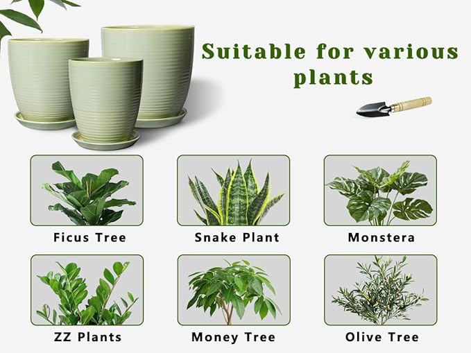 Ceramic Pots for Plants - Modern Round 8 Inch Planter with Drainage Hole and Plant Saucer for Flower Indoor Outdoor, Home Decor, House Warming Gifts, Green