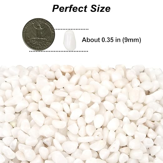 Landscaping Pebbles,River Rocks,Decorative Ornamental Pebbles,Garden Landscaping Stones,Gravel Filler for Home Decoration Flower Bed Fish Tank Plants Vases Succulents (1, White, 5 Pounds)