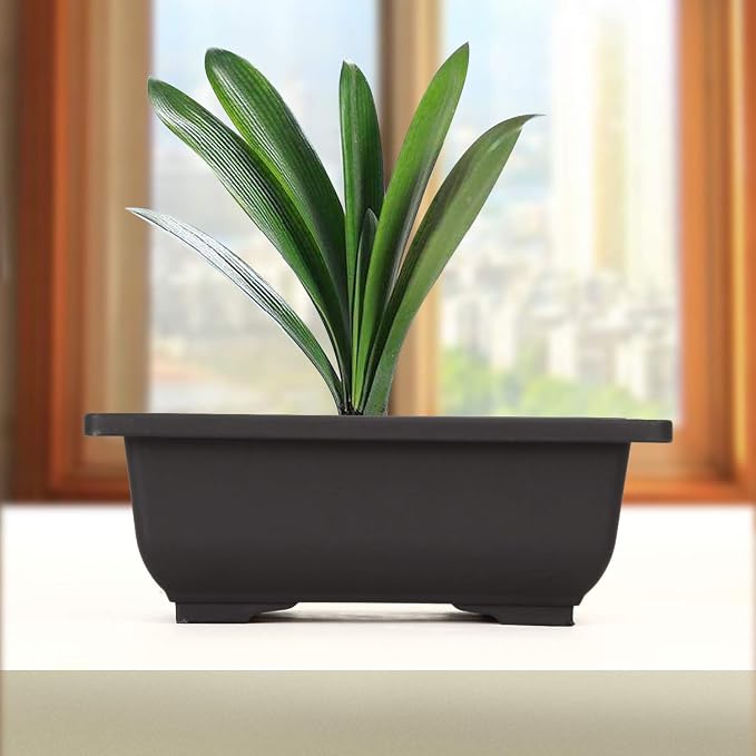 KINJOEK 25 PCS 6.5 Inch Plastic Bonsai Training Pots, Rectangular Plant Bonsai Tree Pot, Starter Flower Succulent Growing Seedling Pot Container Planter for Garden Indoor Home Decorative