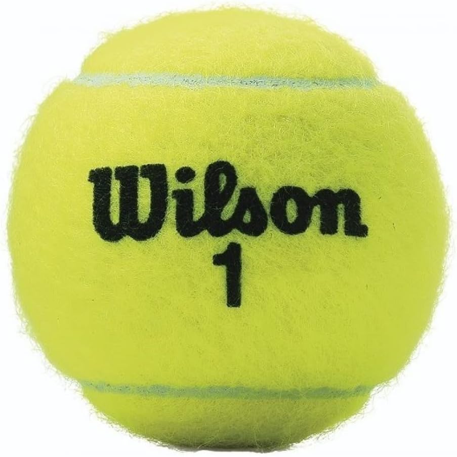 Wilson Championship Tennis Balls - High-Performance 3 Ball Cans | 24 Can Case for Competitive Play