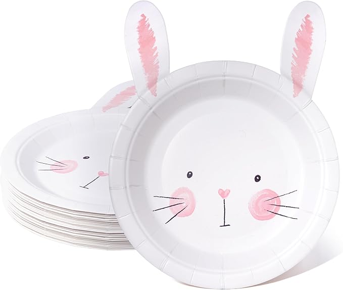 Cheerland Bunny Birthday Decoration Paper Plate for Easter Rabbit Party Decorations Pink Gender Reveal Party Decorations Baby Shower Some Bunny is One Spring Funny Garden Tea Party Supplies Pack of 24
