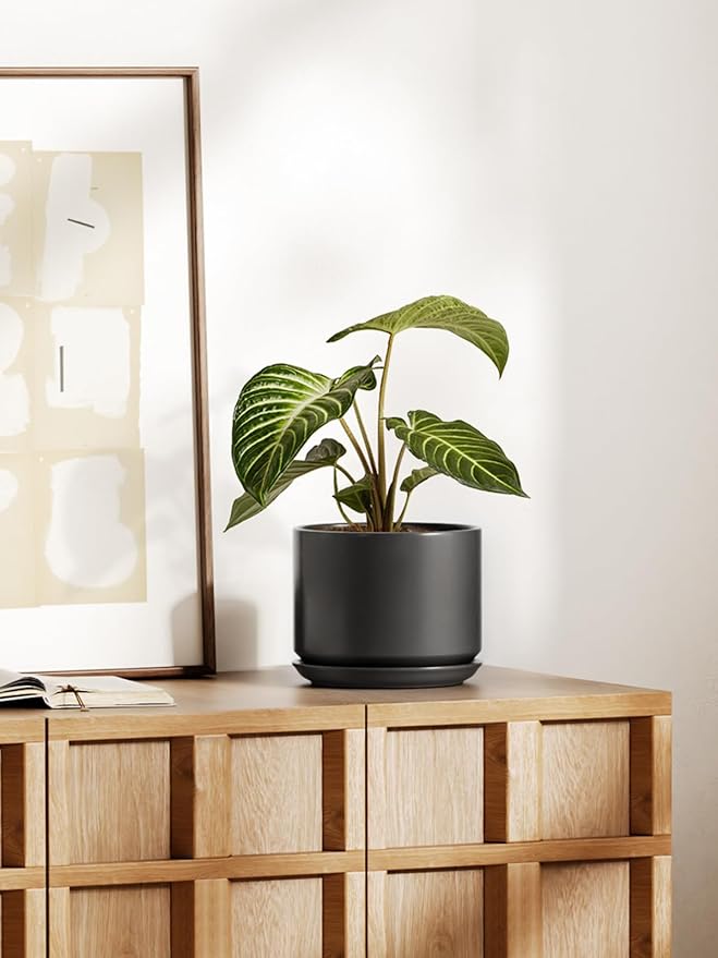LE TAUCI Ceramic Pots for Plants, 8 Inch Plant Pot with Drainage Hole & Saucer, Modern Minimalist Planters for Indoor Plants, Round Flower Pot for Snake Plant, Monstera, Perfect for Home Decor, Black