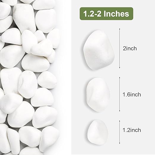SIDONG 10 lbs White River Rocks, 1.2-2 Inches Pebbles for Indoor Plants, Aquarium Rocks Used in Fish Tank, Decorative Stones for Plants, Vases, Home Décor, Crafting, Garden Landscaping