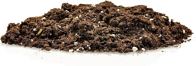 GARDENERA Premium Snake Plant Potting Soil Mix - 10 Quart - Green Sansevieria Trifascatia Zeylanica Plants, Plant or Re-Pot Your Snake Plant (2 Bags of 5 Quart)